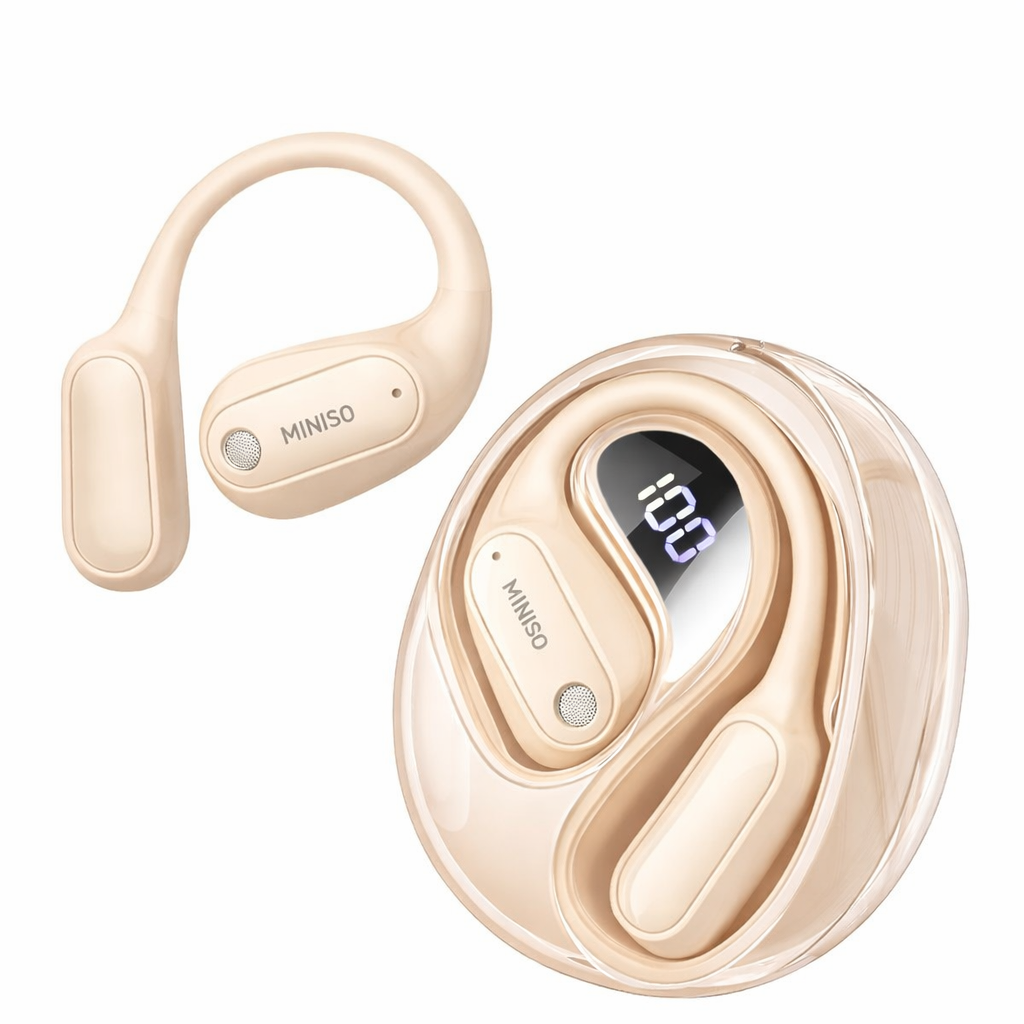 Translation Earbuds