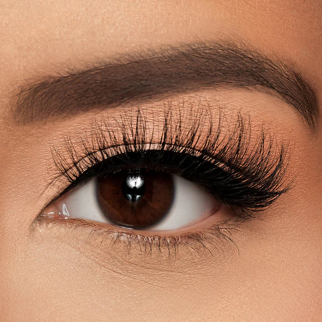 Magnetic Lash Kit