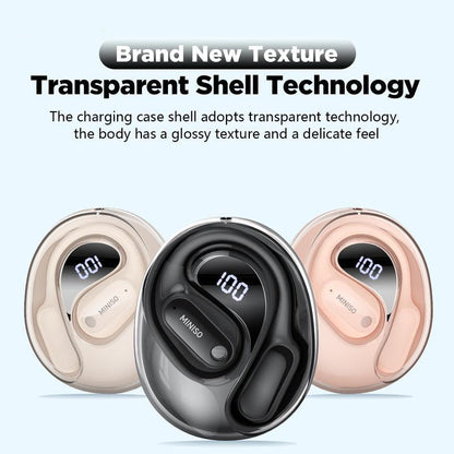 Translation Earbuds
